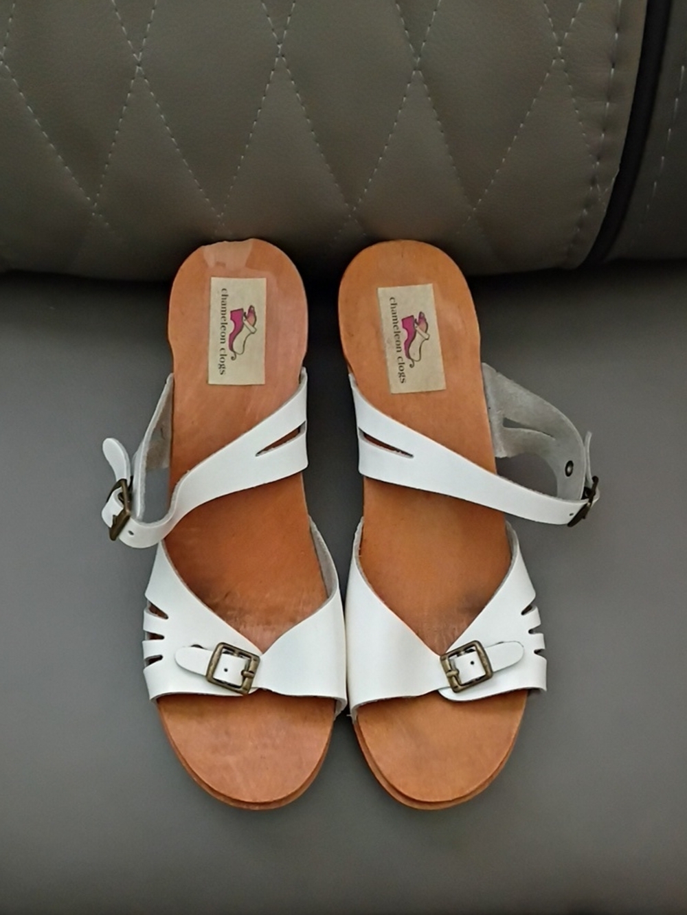 Chameleon Clogs Double Buckle Sandals